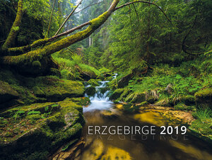 Buchcover Erzgebirge 2019  | EAN 9783940268419 | ISBN 3-940268-41-0 | ISBN 978-3-940268-41-9