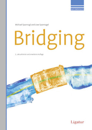 Buchcover Bridging | Michael Spannagl | EAN 9783940407337 | ISBN 3-940407-33-X | ISBN 978-3-940407-33-7