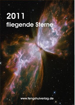 Buchcover Fliegende Sterne 2011 | Andrea Moser | EAN 9783940410801 | ISBN 3-940410-80-2 | ISBN 978-3-940410-80-1