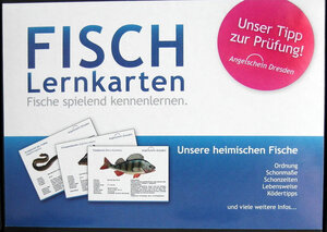 Buchcover FISCH Lernkarten | Reinhard Fries | EAN 9783940418234 | ISBN 3-940418-23-4 | ISBN 978-3-940418-23-4