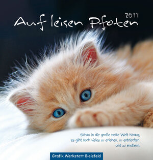 Buchcover Auf leisen Pfoten 2011  | EAN 9783940466969 | ISBN 3-940466-96-4 | ISBN 978-3-940466-96-9