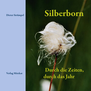 Buchcover Silberborn | Dieter Strümpel | EAN 9783940751492 | ISBN 3-940751-49-9 | ISBN 978-3-940751-49-2