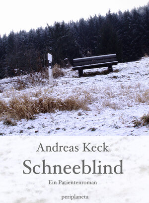 Buchcover Schneeblind | Andreas Keck | EAN 9783940767042 | ISBN 3-940767-04-2 | ISBN 978-3-940767-04-2