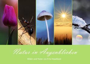 Buchcover Natur in Augenblicken | Fritz Haselbeck | EAN 9783940782250 | ISBN 3-940782-25-4 | ISBN 978-3-940782-25-0