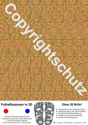 Buchcover Fußreflexzonen in 3D | Tanja Aeckersberg | EAN 9783940832689 | ISBN 3-940832-68-5 | ISBN 978-3-940832-68-9