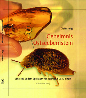Buchcover Geheimnis Ostseebernstein | Dieter Jung | EAN 9783941064089 | ISBN 3-941064-08-8 | ISBN 978-3-941064-08-9