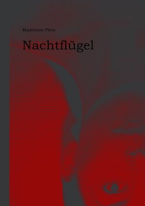 Buchcover Nachtflügel | Madeleine Platz | EAN 9783941071155 | ISBN 3-941071-15-7 | ISBN 978-3-941071-15-5