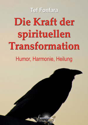 Buchcover Die Kraft der spirituellen Transformation | Tef Fonfara | EAN 9783941363847 | ISBN 3-941363-84-0 | ISBN 978-3-941363-84-7