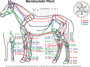 Buchcover Meridiantafel Pferd | Ingrid Uta Krause | EAN 9783941479005 | ISBN 3-941479-00-8 | ISBN 978-3-941479-00-5