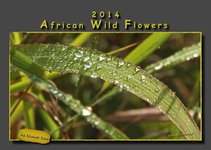 Buchcover African Wild Flowers - Afrikanische Wildblumen Kalender 2014 | Thomas Kreutziger | EAN 9783941653665 | ISBN 3-941653-66-0 | ISBN 978-3-941653-66-5