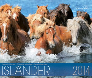 Buchcover Island Pferde Kalender 2014 | Gabriele Boiselle | EAN 9783941662919 | ISBN 3-941662-91-0 | ISBN 978-3-941662-91-9