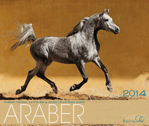 Buchcover Edle Araber Kalender 2014 | Gabriele Boiselle | EAN 9783941662995 | ISBN 3-941662-99-6 | ISBN 978-3-941662-99-5