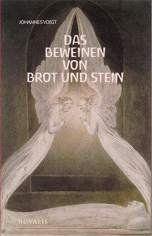 Buchcover Reihe Geisteswissenschaft / Das Beweinen von Brot und Stein | Johannes Voigt | EAN 9783941664753 | ISBN 3-941664-75-1 | ISBN 978-3-941664-75-3