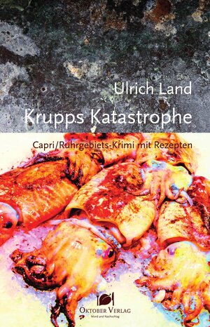 Buchcover Krupps Katastrophe | Ulrich Land | EAN 9783941895997 | ISBN 3-941895-99-0 | ISBN 978-3-941895-99-7
