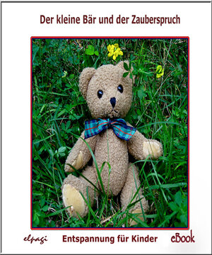 Buchcover Der kleine Bär und der Zauberspruch | Elke Bräunling | EAN 9783941923294 | ISBN 3-941923-29-3 | ISBN 978-3-941923-29-4