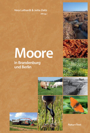 Buchcover Moore in Brandenburg und Berlin  | EAN 9783942062138 | ISBN 3-942062-13-5 | ISBN 978-3-942062-13-8