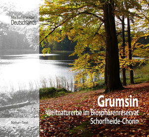 Buchcover Grumsin  | EAN 9783942062206 | ISBN 3-942062-20-8 | ISBN 978-3-942062-20-6