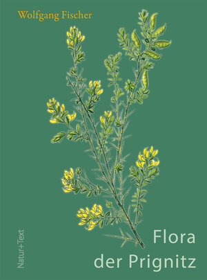 Buchcover Flora der Prignitz | Wolfgang Fischer | EAN 9783942062299 | ISBN 3-942062-29-1 | ISBN 978-3-942062-29-9
