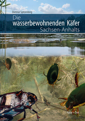 Buchcover Die wasserbewohnenden Käfer Sachsen-Anhalts | Dietmar Spitzenberg | EAN 9783942062503 | ISBN 3-942062-50-X | ISBN 978-3-942062-50-3