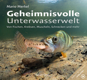 Buchcover Geheimnisvolle Unterwasserwelt | Mario Merkel | EAN 9783942062527 | ISBN 3-942062-52-6 | ISBN 978-3-942062-52-7
