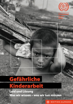 Buchcover Gefährliche Kinderarbeit - Leid und Lösung  | EAN 9783942230742 | ISBN 3-942230-74-7 | ISBN 978-3-942230-74-2