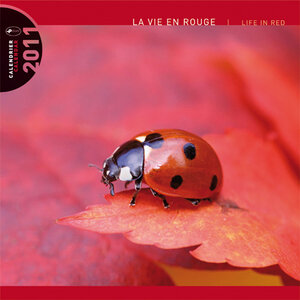 Buchcover La Vie en rouge - Life in Red - Das Leben in Rot 2011  | EAN 9783942305082 | ISBN 3-942305-08-9 | ISBN 978-3-942305-08-2