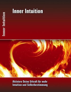 Buchcover Inner Intuition | Axel Wehner | EAN 9783942349031 | ISBN 3-942349-03-5 | ISBN 978-3-942349-03-1
