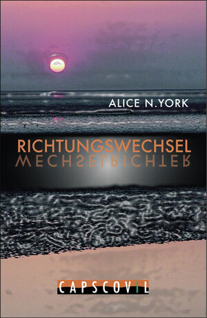 Buchcover Richtungswechsel | Alice N York | EAN 9783942358149 | ISBN 3-942358-14-X | ISBN 978-3-942358-14-9