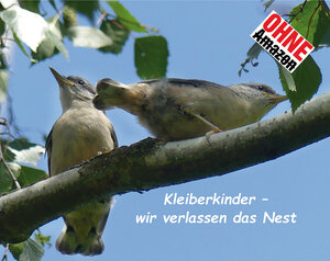 Buchcover Kleiberkinder | Dieter Meister | EAN 9783942450393 | ISBN 3-942450-39-9 | ISBN 978-3-942450-39-3