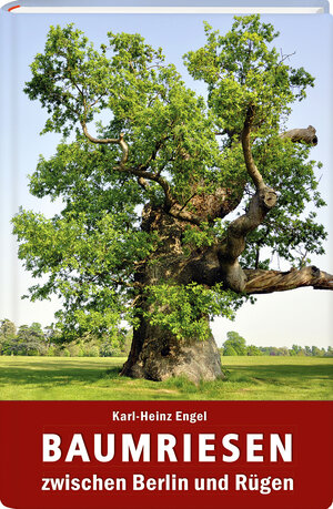 Buchcover Baumriesen zwischen Berlin und Rügen | Karl-Heinz Engel | EAN 9783942477383 | ISBN 3-942477-38-6 | ISBN 978-3-942477-38-3