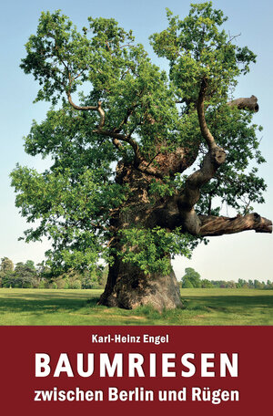 Buchcover Baumriesen zwischen Berlin und Rügen | Karl-Heinz Engel | EAN 9783942477543 | ISBN 3-942477-54-8 | ISBN 978-3-942477-54-3