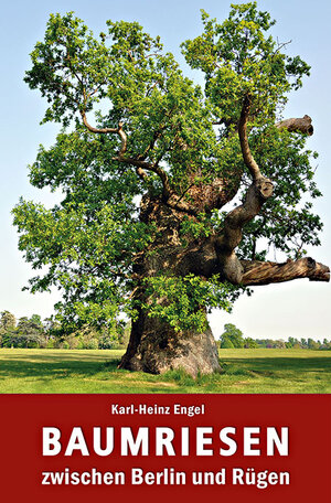 Buchcover Baumriesen zwischen Berlin und Rügen | Karl-Heinz Engel | EAN 9783942477550 | ISBN 3-942477-55-6 | ISBN 978-3-942477-55-0