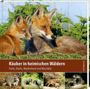 Buchcover Räuber in heimischen Wäldern | Klaus Borrmann | EAN 9783942477611 | ISBN 3-942477-61-0 | ISBN 978-3-942477-61-1