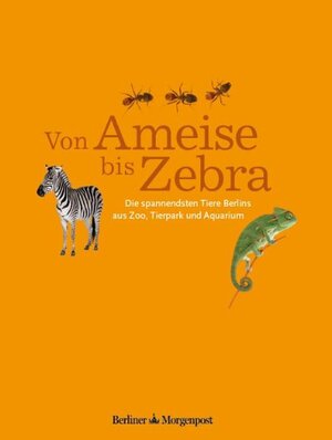 Buchcover Von Ameise bis Zebra - Die spannendsten Tiere Berlins aus Zoo, Tierpark und Aquarium | Tanja Laninger | EAN 9783942481038 | ISBN 3-942481-03-0 | ISBN 978-3-942481-03-8