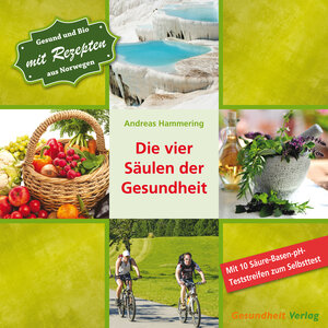 Buchcover Die vier Säulen der Gesundheit | Andreas Hammering | EAN 9783942607032 | ISBN 3-942607-03-4 | ISBN 978-3-942607-03-2