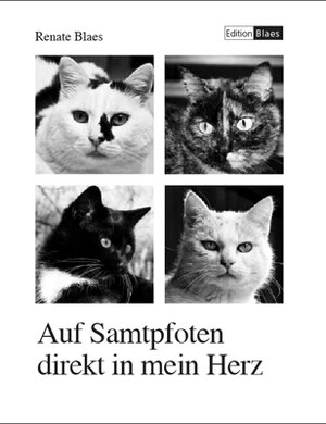 Buchcover Auf Samtpfoten direkt in mein Herz | Renate Blaes | EAN 9783942641005 | ISBN 3-942641-00-3 | ISBN 978-3-942641-00-5