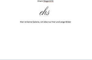 Buchcover EHS - Hier ist keine Galerie | Erwin Stegentritt | EAN 9783942701563 | ISBN 3-942701-56-1 | ISBN 978-3-942701-56-3