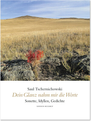Buchcover Dein Glanz nahm mir die Worte | Saul Tschernichowski | EAN 9783942955690 | ISBN 3-942955-69-5 | ISBN 978-3-942955-69-0
