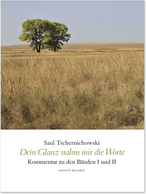 Buchcover Dein Glanz nahm mir die Worte | Saul Tschernichowski | EAN 9783942955713 | ISBN 3-942955-71-7 | ISBN 978-3-942955-71-3
