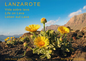 Buchcover Lanzarote - Leben auf Lava | Ulrike Strecker | EAN 9783942999038 | ISBN 3-942999-03-X | ISBN 978-3-942999-03-8