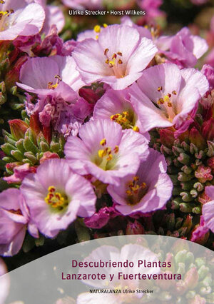 Buchcover Descubriendo Plantas Lanzarote y Fuerteventura | Ulrike Strecker | EAN 9783942999144 | ISBN 3-942999-14-5 | ISBN 978-3-942999-14-4
