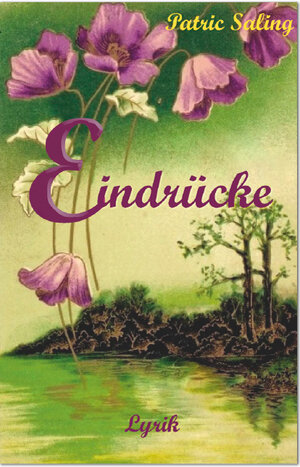 Buchcover Eindrücke | Patric Saling | EAN 9783943054972 | ISBN 3-943054-97-7 | ISBN 978-3-943054-97-2