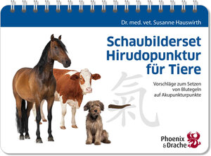 Buchcover Schaubilderset Hirudopunktur für Tiere, Schweizer Ausgabe | Susanne Dr. med. vet. Hauswirth | EAN 9783943116045 | ISBN 3-943116-04-2 | ISBN 978-3-943116-04-5