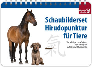 Buchcover Schaubilderset Hirudopunktur für Tiere - Deutsche Ausgabe -> nur noch Schweizer Ausgabe lieferbar! | Susanne Dr. med. vet. Hauswirth | EAN 9783943116083 | ISBN 3-943116-08-5 | ISBN 978-3-943116-08-3