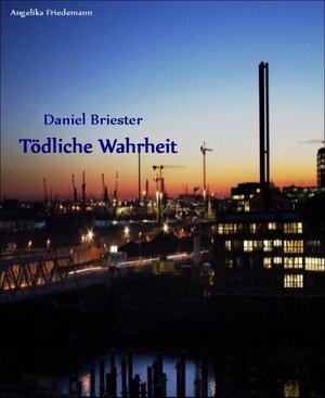 Buchcover Daniel Briester | Angelika Friedemann | EAN 9783943142686 | ISBN 3-943142-68-X | ISBN 978-3-943142-68-6