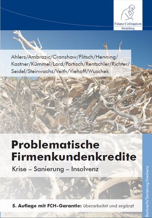 Buchcover Problematische Firmenkundenkredite, 5. Auflage | Horst Ahlers | EAN 9783943170924 | ISBN 3-943170-92-6 | ISBN 978-3-943170-92-4
