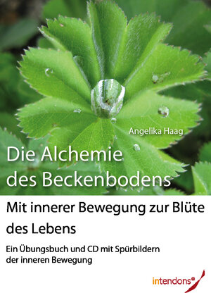 Buchcover Die Alchemie des Beckenbodens | Angelika Haag | EAN 9783943173703 | ISBN 3-943173-70-4 | ISBN 978-3-943173-70-3