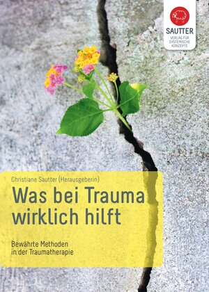 Buchcover Was bei Trauma wirklich hilft | Christiane Sautter | EAN 9783943239065 | ISBN 3-943239-06-3 | ISBN 978-3-943239-06-5