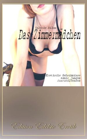 Buchcover Das Zimmermädchen | Valerie Nilon | EAN 9783943567656 | ISBN 3-943567-65-6 | ISBN 978-3-943567-65-6