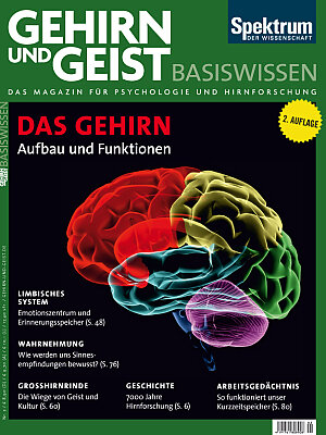 Buchcover Das Gehirn  | EAN 9783943702408 | ISBN 3-943702-40-5 | ISBN 978-3-943702-40-8